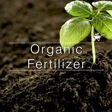 Organic Fertilizers