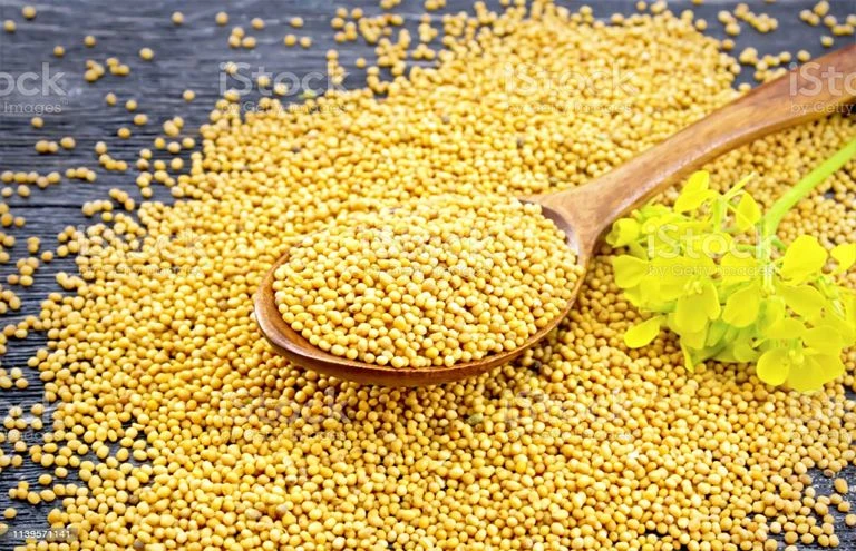 Mustard Seeds