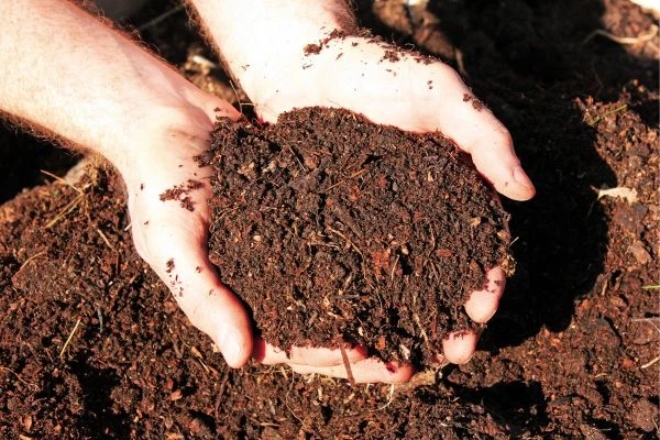 Organic Manure