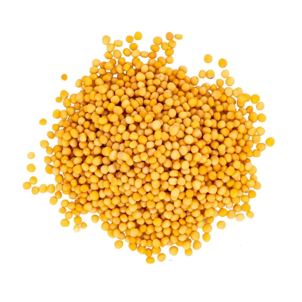 Yellow Mustard Seeds