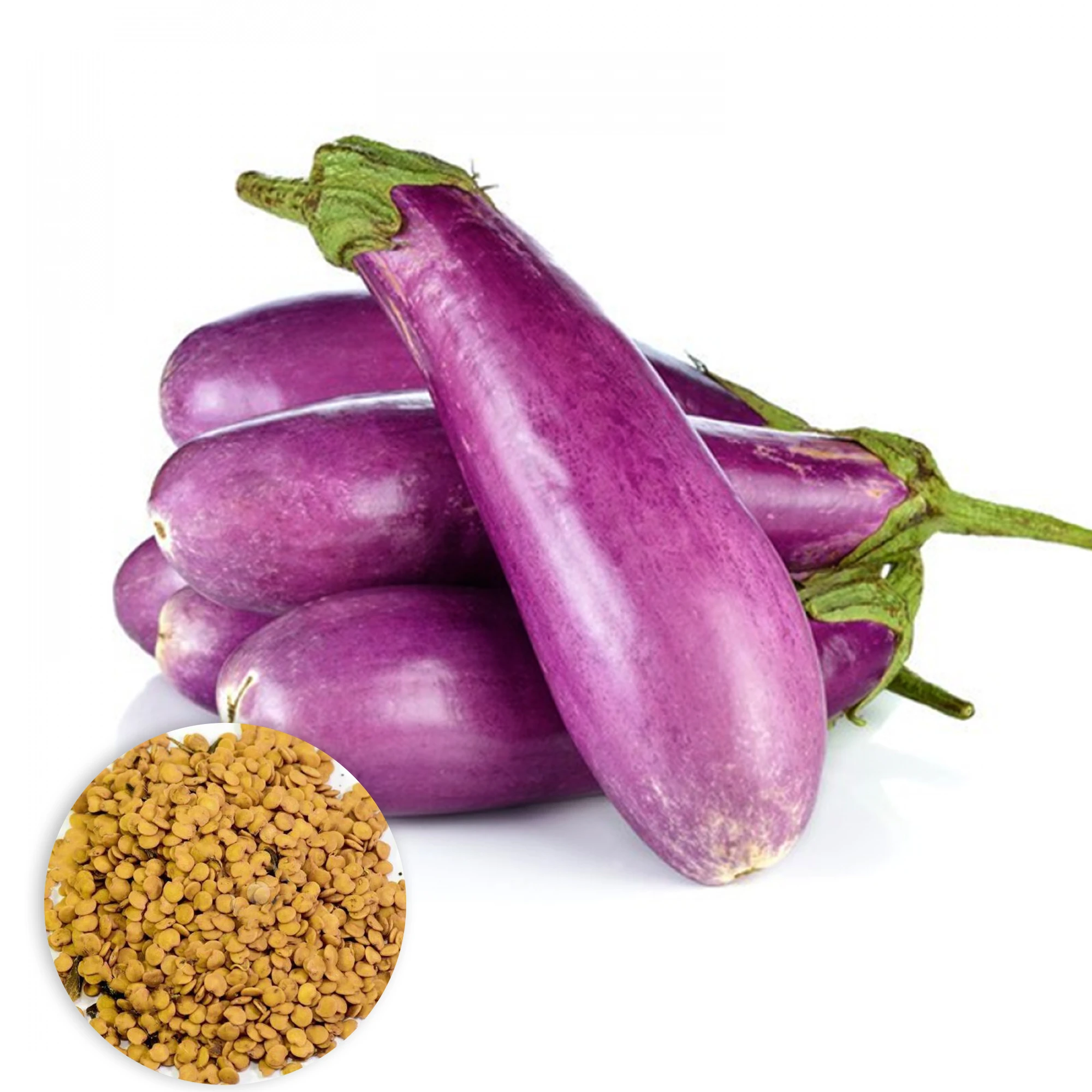 Brinjal Seeds